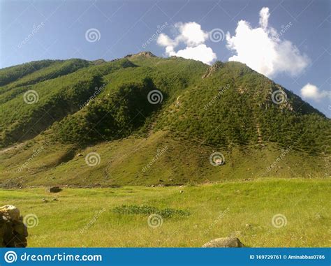 Green Grass With Green Forest And Green Mountain Stock Image Image Of