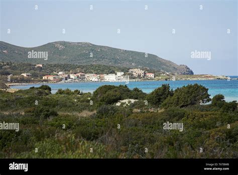 Garrigue And Maquis Habitats Near The Coastal Town Of Barcaggio Cap