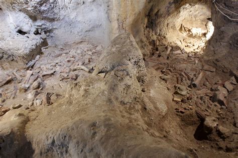 Net Ciências Descobertos Restos De Nove Neandertais Numa Gruta Em Itália