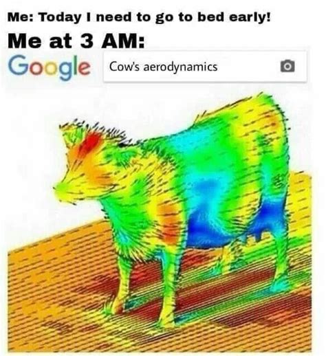 Cow Aerodynamics Meme By Whitelies Memedroid