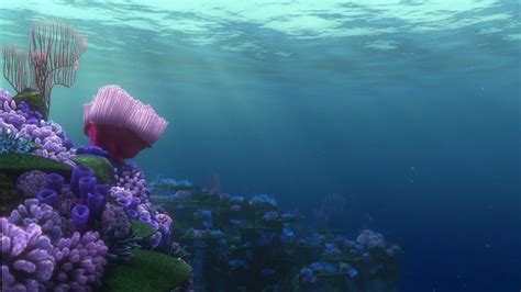 10 New Finding Nemo Wallpaper Full Hd 1080p For Pc Desktop