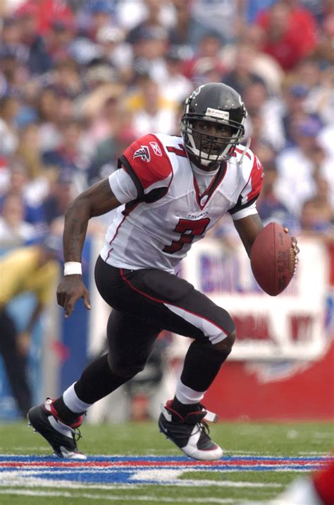 The Rise And Fall Of Michael Vick After Dogfighting Case