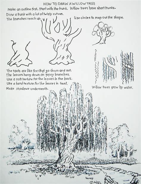 How To Draw Worksheets For The Young Artist How To Draw A Willow Tree