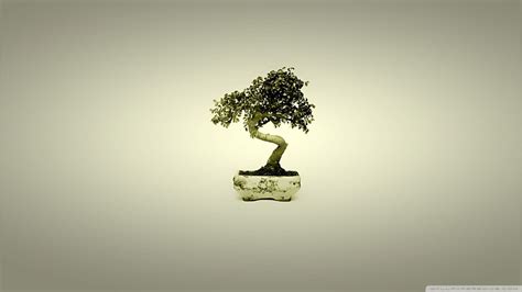 Japanese Bonsai Wallpapers Top Free Japanese Bonsai Backgrounds