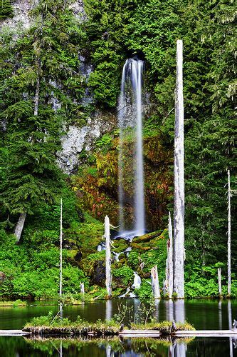 Waterfall Near Mt St Helens Waterfall Beautiful Waterfalls