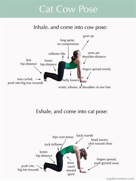 How to do Cat Cow Pose Exercícios de ioga Ioga e Atividade fisica e