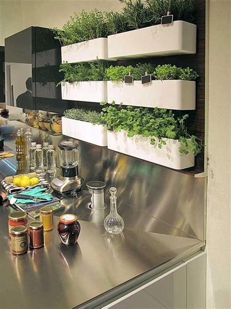 Herb Storage In The Kitchen I Would Prob Needwant A Green Wall