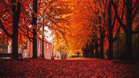 Download Wallpaper 1600x900 Autumn Park Trees Foliage Widescreen 16