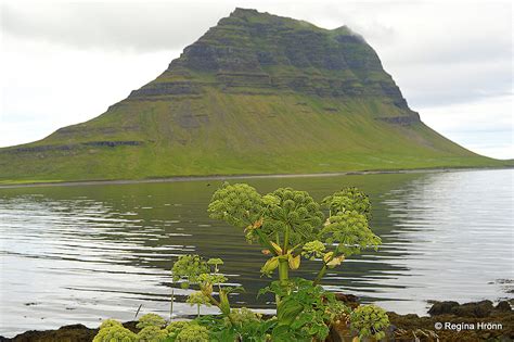 Mt Kirkjufell And Kirkjufellsfoss In Grundarfjörður The