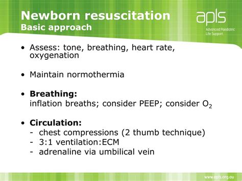 Ppt Newborn Resuscitation A 20 Minute Baptism Of Fire Powerpoint