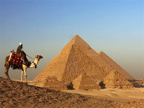 Since camels' humps are made of fat, they provide immediate energy. Camel or horse riding at pyramids