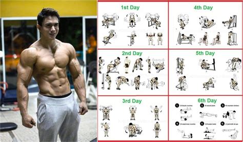 8 Weeks Workout Programme For Beginners