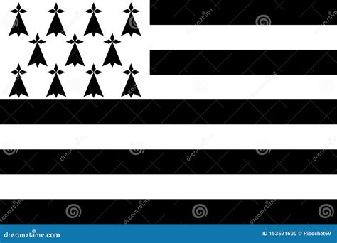 Flag Of Brittany Stock Illustration Illustration Of Nation 153591600