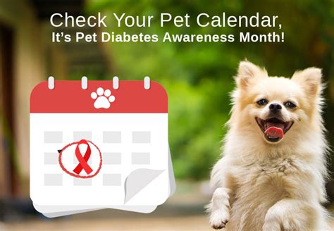 Check Your Pet Calendar Its Pet Diabetes Awareness Month