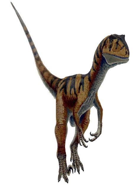 Deinonychus Wikia Dinosaurpedia Fandom Powered By Wikia