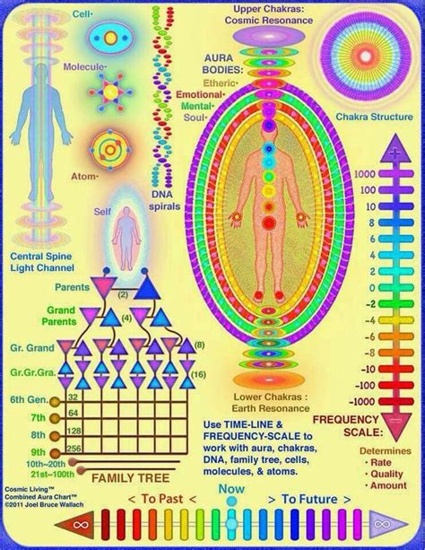 Human Auric Field Chakra Energy Healing Reiki Healing Learning