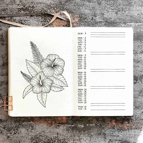 floral bullet journal spreads | Bullet journal layout, Bullet journal doodles, Bullet journal