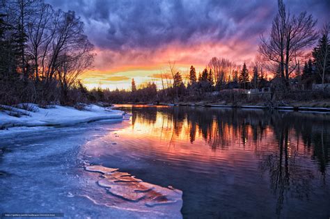 Download Wallpaper Calgary Winter River Forest Free Desktop