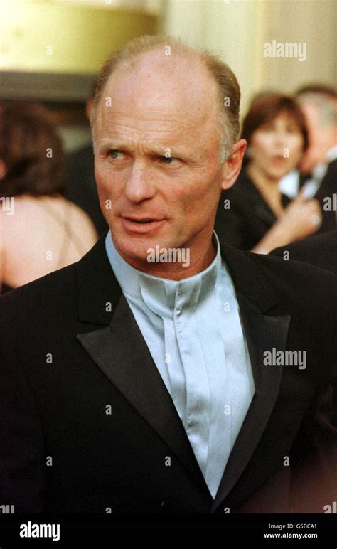 28th november on this day in 1950 actor ed harris was born actor ed harris arriving for the