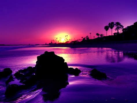 Free Download Purple Moon Sunset 860x860 For Your Desktop Mobile