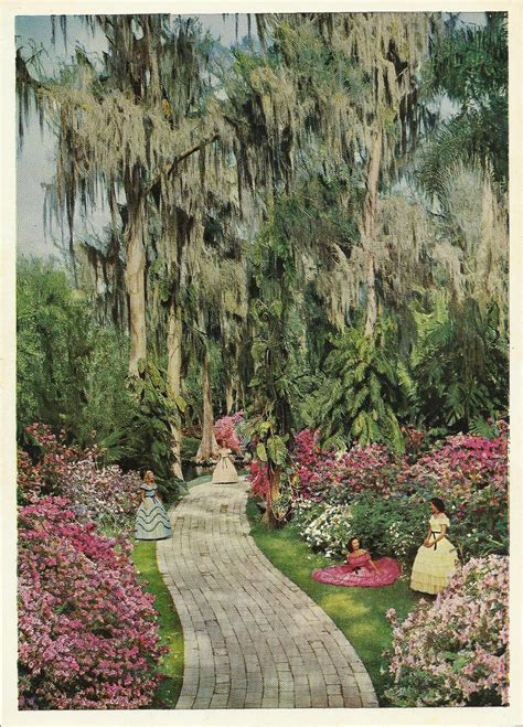 Pin By Judy Mundt On Priceless Memories Cypress Gardens Winter Haven