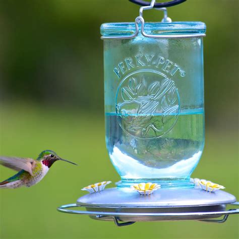 We'll show you how to make nectar, too! Perky-Pet Mason Jar Hummingbird Feeder