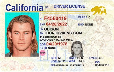 California Drivers License Psd Template Free Printable Templates