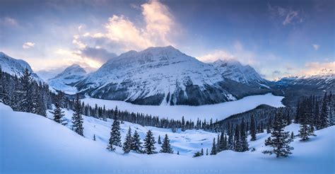 Free Download How To Photograph The Canadian Rockies In Winter Scott