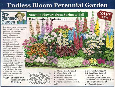 30 Perennial Flower Garden Layout