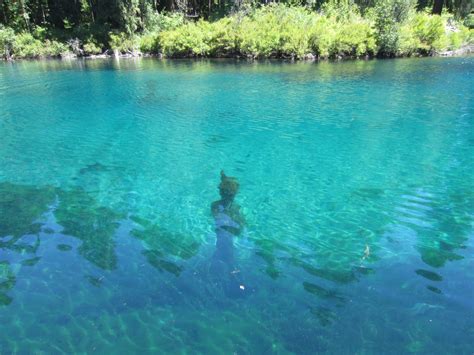 Clear Lake Summer Diving Not Your Average Engineer