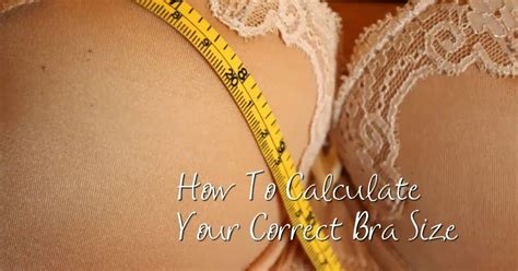An Easy Way To Calculate Your Correct Bra Size Venusian Glow