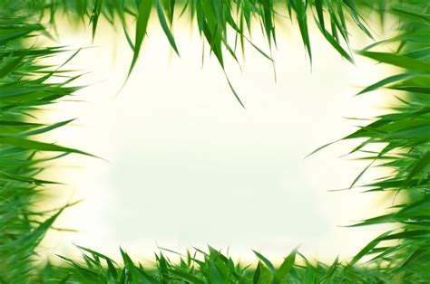 Natural Background Frame Free Stock Photo Public Domain Pictures