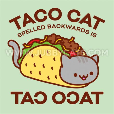 Jubby Cats Taco Cat Spelled Backwards Is Taco Cat