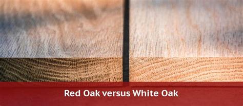 Red Oak Vs White Oak 【all Key Differences】 2022 Woodyman