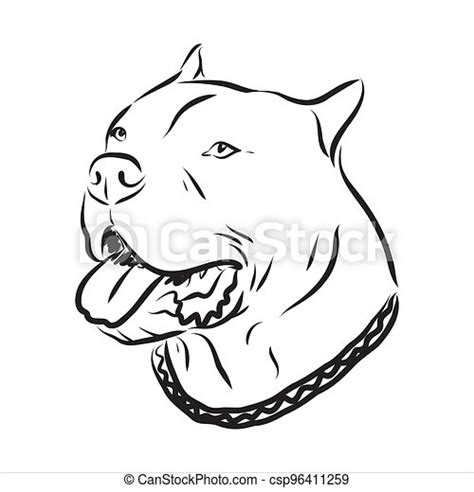 Vector Sketch Drawing Pitbull Barking Pit Bull Terrier Dog Vector