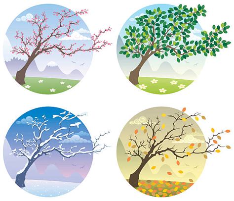 Seasons Illustrations Royalty Free Vector Graphics And Clip Art Istock