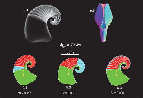 The Properties Of Fossil Cephalopod Shells