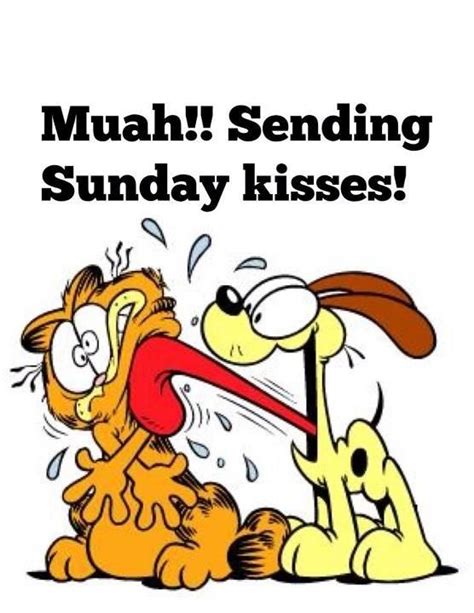 Sunday Kisses Quotes Tv Odie Garfield Tv Shows Days Of The Week Sunday