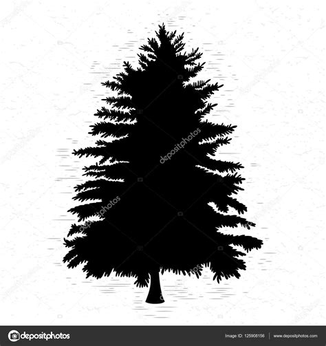 Pine Tree Silhouette Stock Photo By ©goldenshrimp 125908156