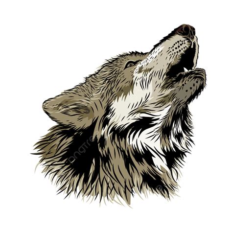 Howling Wolf Clipart Howling Wolf Wolf Head Png And Vector With