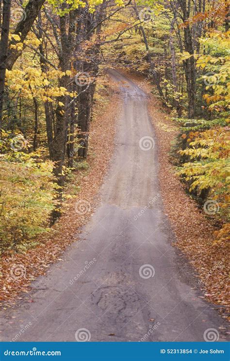 An Unpaved Road Through The Woods Sandwich Notch Road New Hampshire