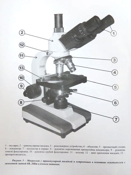 Как называются части цифрового микроскопа. Строение микроскопа Микмед 5. Строение микроскопа Микмед 1. Микроскоп биологический бинокулярный Микромед 1, вариант 1-20. Строение микроскопа Микмед.