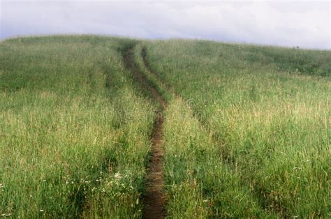 An Uphill Country Road In Tall Grass In Altai Mountains Kazakhstan On