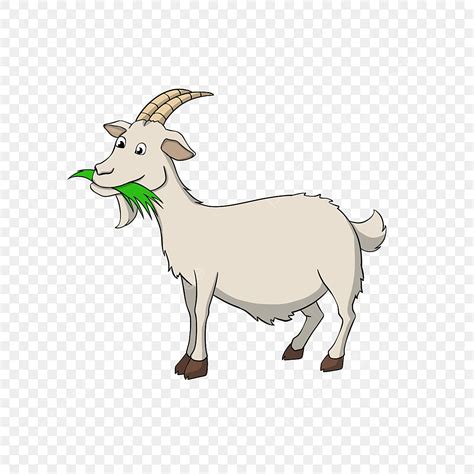 Goats Cartoon Clipart Transparent Png Hd Cartoon Style Hand Drawn