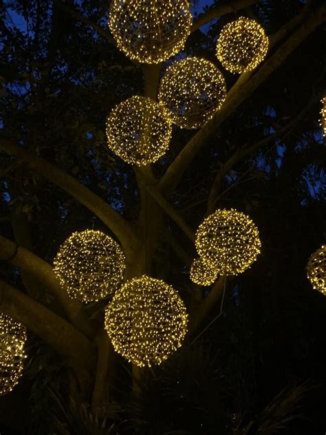 Light Balls Dangling From Trees Ball Lights Outdoor Tree Lighting