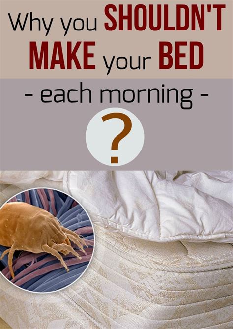 Why You Shouldnt Make Your Bed Each Morning