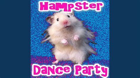 Hampster Dance Youtube