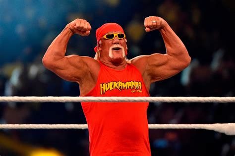 Hulk Hogan Old
