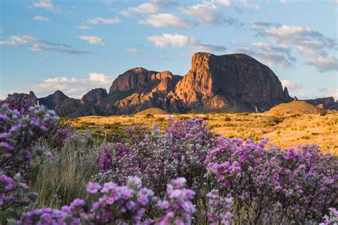 A Beginners Guide To Visiting Big Bend National Park Everything You