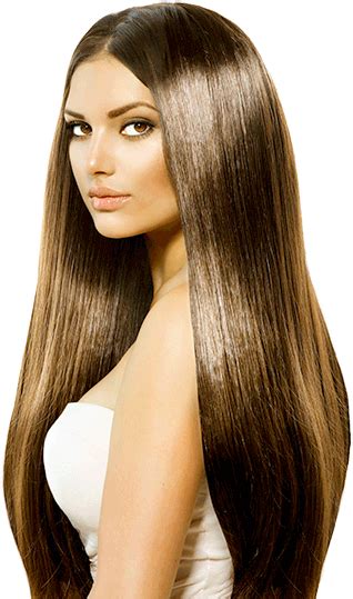 Download Transparent Model Salon Png Long Hair Silky Brown Pngkit